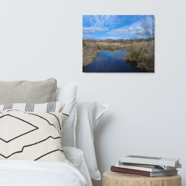 Cuyamaca Lake Mission Trails Metal prints